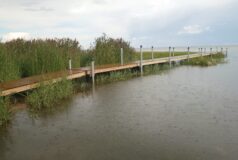 Randvere postidel sild